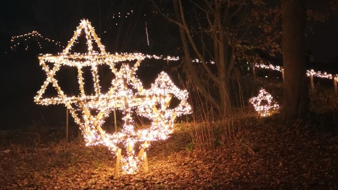 Procap Weihnachtsfeier